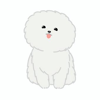 ビション・フリーゼ① 犬,ドッグ,ビション,ビションフリーゼ,動物,生き物,かわいい,シンプル,ゆるい,アイコンのイラスト素材