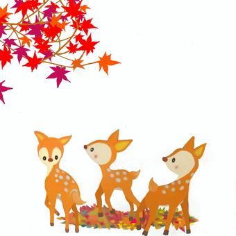 秋の子鹿ともみじ