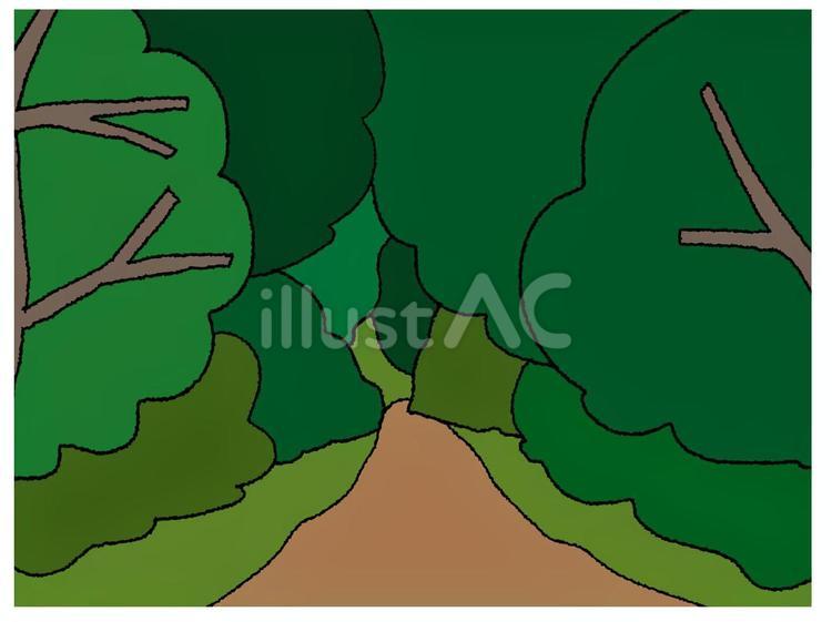 森の中の道 道,森,木のイラスト素材