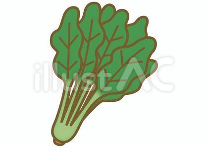 かわいいほうれん草のイラスト