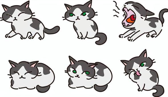 アイコン用ぶち猫のしぐさ6種類 猫,ぶち猫,白黒,アイコン,かわいい,子猫,ポーズ,おすわり,香箱座り,顔を洗うのイラスト素材