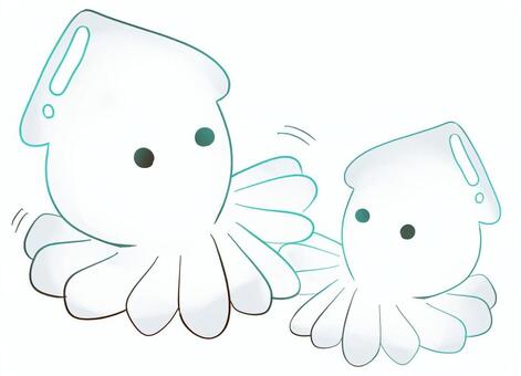 イカ イカ,海,生き物,白,pop,フリー素材のイラスト素材