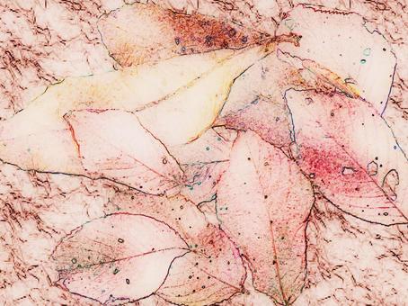 落ち葉 落ち葉,落葉,葉っぱ,枯れ葉,紅葉,淡色,パステル,茶色,グラデーション,背景のイラスト素材