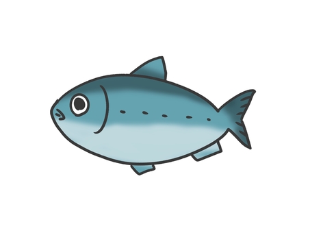 いわし いわし,魚,生き物,秋,青,魚類,背びれ,魚介類,dha,単体のイラスト素材