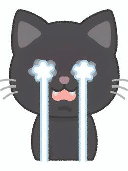 黒猫号泣 黒猫,号泣,泣く,涙,悲しい,辛い,ショック,感動,感涙,ネコのイラスト素材