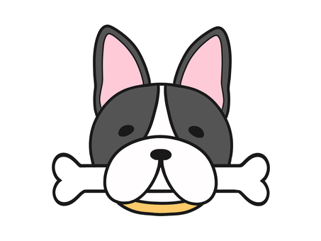 骨を咥えた　黄首輪　フレンチブルドッグ フレンチブルドッグ,動物,生き物,挿絵,犬,首輪,生物,イラスト,顔,目のイラスト素材