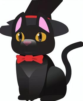 魔女風猫 猫,ねこ,黒猫,魔女,魔法使い,ハロウィン,仮装,コスプレ,使い魔,動物のイラスト素材