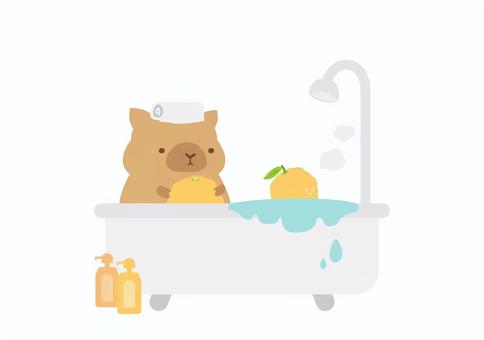 バスタブでゆず湯を楽しむかわいいカピバラ ゆず,食べ物,冬至,動物,カピバラ,冬,ゆず湯,お風呂,バスタブ,かわいいのイラスト素材
