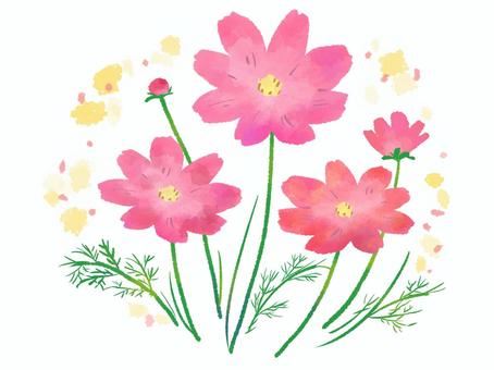 【水彩風手描き】風に揺れるコスモス
