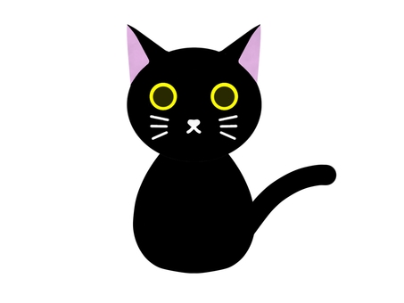 黒猫