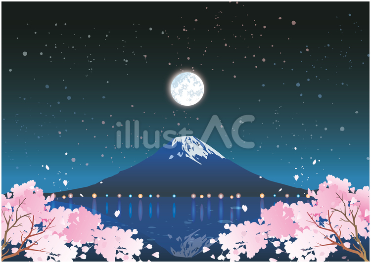 夜桜 桜,春,植物のイラスト素材