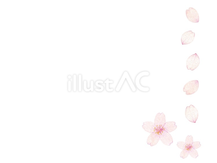 桜の飾り 桜,花びら,飾りのイラスト素材