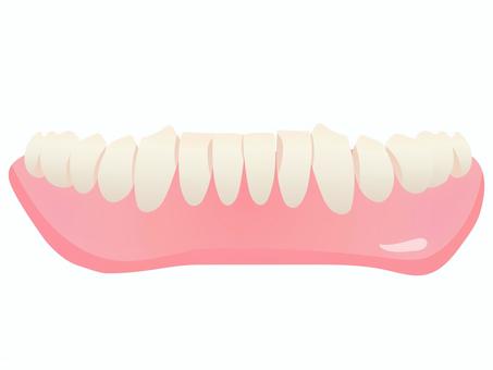 総義歯 正面イラスト(下顎) 総義歯 正面イラスト(下顎) 総義歯,下顎,入れ歯,歯科,歯科技工,医療,教材用イラスト,正面,デフォルメ,白背景のイラスト素材