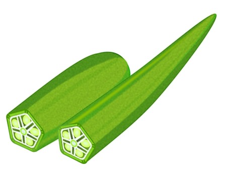 オクラ02（カット） オクラ,夏野菜,食べ物,緑黄色,ねばねばのイラスト素材