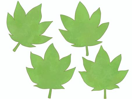 もみじのイラスト　緑 紅葉,もみじ,青紅葉,青もみじ,新緑,新葉,緑葉,緑,緑色,グリーンのイラスト素材