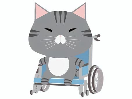 車椅子_猫 車椅子,猫,さばとら,動物,かわいい,医療のイラスト素材
