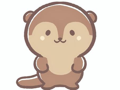 らっこさん ラッコ,動物,可愛い,動物園,生き物,哺乳類のイラスト素材