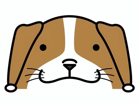 ビーグルさん ひょっこり 覗き見,チラ見,ビーグル,キャラクター,犬,小型犬,動物,哺乳類,ベクター,イラストのイラスト素材