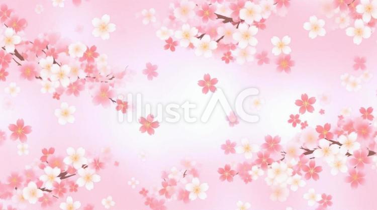 桜のイラスト 桜,春,花のイラスト素材