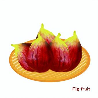 いちじく いちじく,果物,無花果,食品,果実のイラスト素材