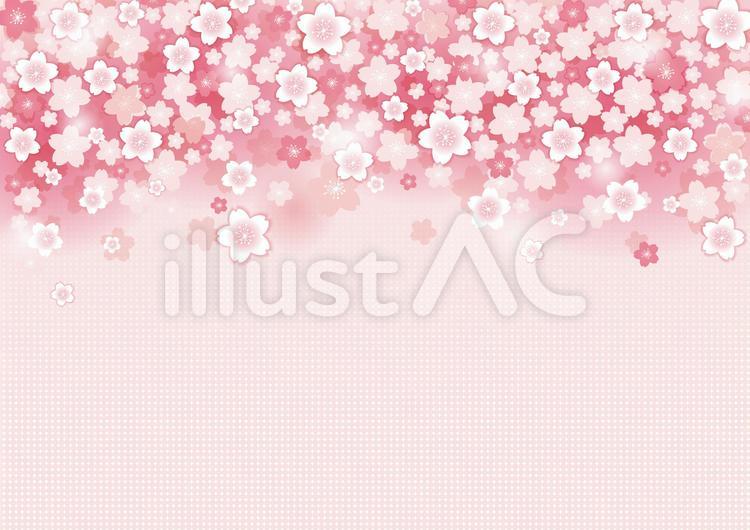 満開の桜背景4 桜,背景,綺麗のイラスト素材