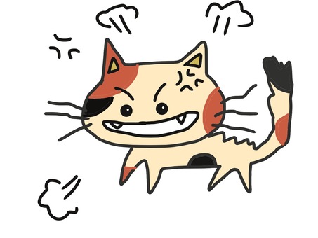 怒り猫