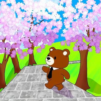 【短文カード】「く」の言葉③ くま,ネクタイ,桜,並木,空,歩く,言語聴覚療法,絵カード,構音,情景画のイラスト素材