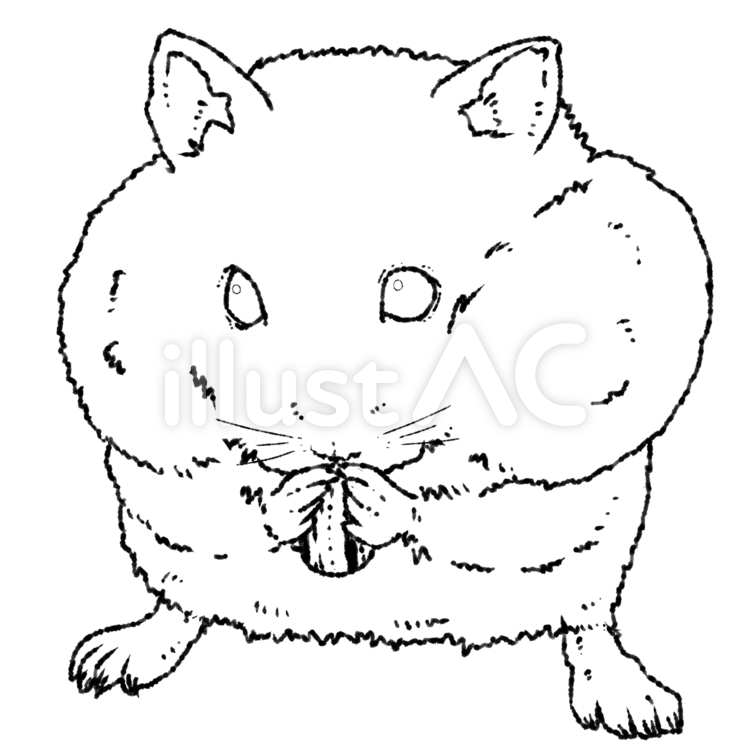頬張るハムスター　線画 ハムスター,齧歯類,動物のイラスト素材