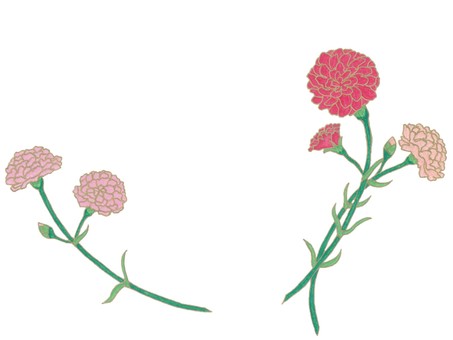 Carnation decoration, carnation, mother's day, pink, JPG and PNG