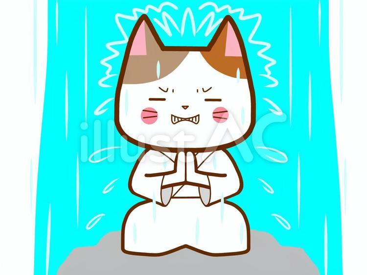 滝に打たれる修行をする猫さん 滝,打たれる,猫のイラスト素材