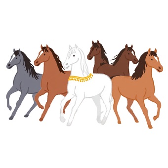 群れで走る6頭の馬