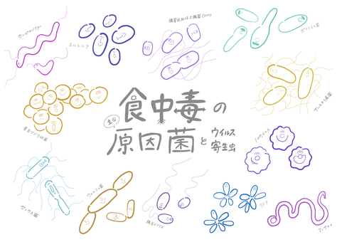 食中毒の主な原因菌＿カラフル線画 食中毒,菌,ウイルス,寄生虫,カンピロバクター,エルシニア,腸管出血性大腸菌,o157,ブドウ球菌,サルモネラのイラスト素材