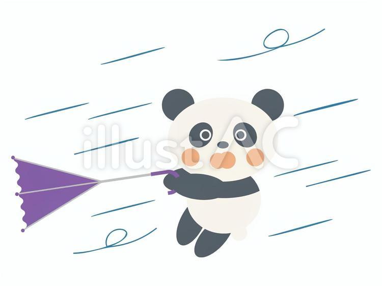 暴風雨で傘が裏返ったパンダ 動物,イラスト,挿絵のイラスト素材