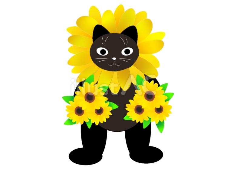 生活猫30 猫,ひまわり,手描きのイラスト素材