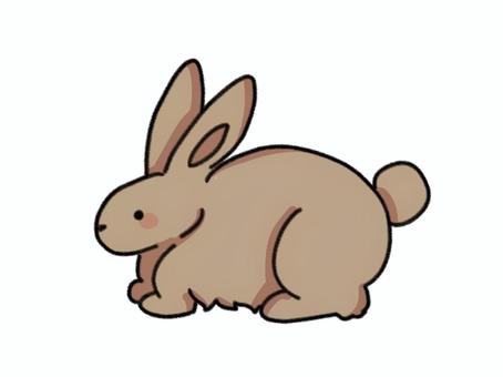 brown rabbit, , JPG and PNG