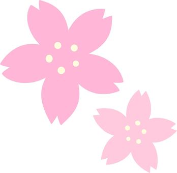 Cherry Blossom, JPG, PNG and AI Cherry Blossom, вишневое дерево, цветок, завод, JPG, PNG and AI