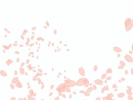 Cherry blossom petals swirling orange, JPG and PNG Cherry blossom petals swirling orange, cherry blossoms, spring, petal, JPG and PNG