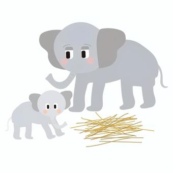 ゾウの親子と餌 ゾウ,象,小象,親子,エサ,藁,生き物,動物,動物園,かわいいのイラスト素材