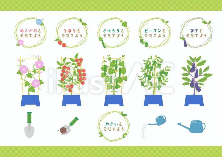 野菜と朝顔の栽培イラスト 栽培,観察,栽培キットのイラスト素材