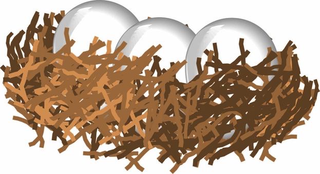 鳥の巣 鳥の巣,卵,複数,鳥類,育てる,イメージ,丸い,立体,文字のイラスト素材