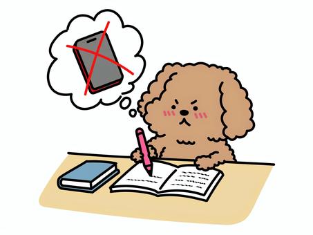 スマホの誘惑に耐えて勉強するプードルさん スマホ,勉強,受験,テスト,宿題,課題,学習,勉学,学ぶ,研修のイラスト素材