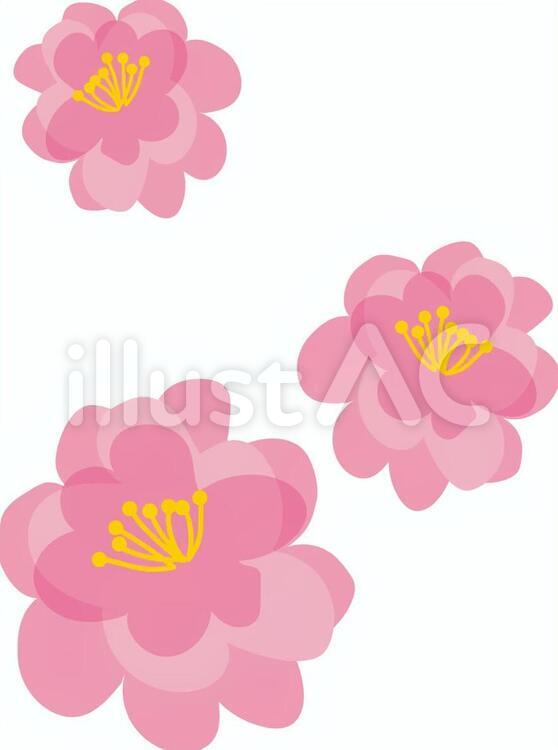 桃の花 桃の花 桃,もも,花のイラスト素材