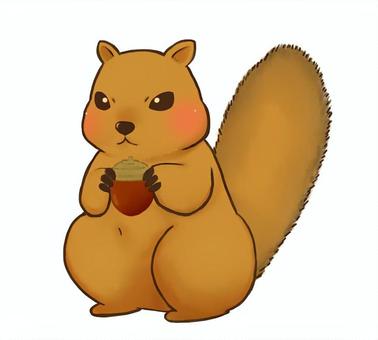 どんぐりを持ったりす りす,木の実,どんぐり,動物,生き物,かわいい,ふわふわ,尻尾,イラストのイラスト素材