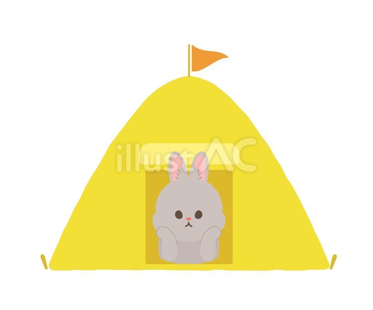テントから顔を出すウサギ ウサギ,動物,テントのイラスト素材