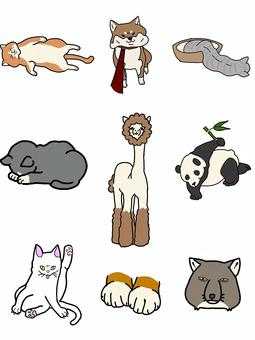 どうぶつの詰め合わせ