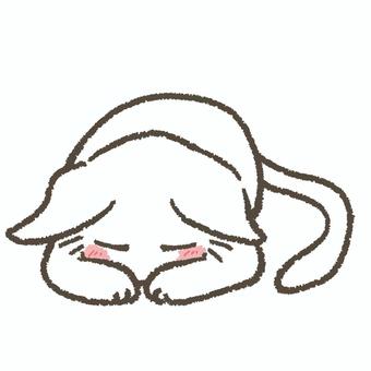 ごめん寝する白猫 土下座,謝る,謝罪のイラスト素材