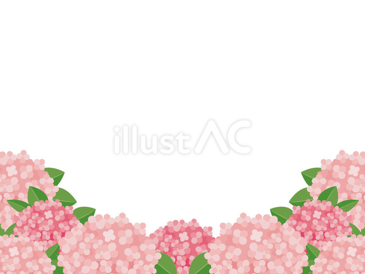 ピンクの紫陽花のフレーム 紫陽花,花,植物のイラスト素材