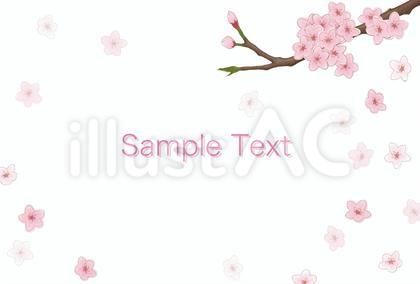 桜2_便箋2