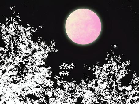 Space Planet Night Sky (Space 103), JPG Space Planet Night Sky (Space 103), background, wallpaper, planet, JPG