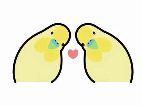 Illustration of a cuddling parakeet and heart, JPG and PNG Illustration of a cuddling parakeet and heart, sekisei parakeet, birdie, a pet, JPG and PNG